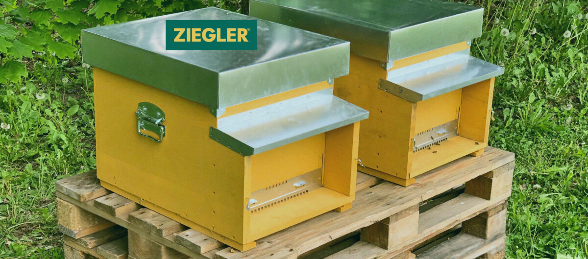 Ziegler Straatsburg installeerde 2 bijenkorven