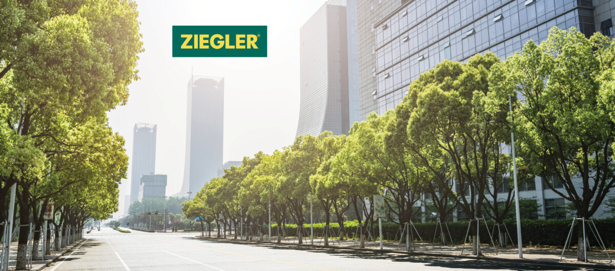 Innovative Solutions for Low Emission Zones and Sustainable Logistics
