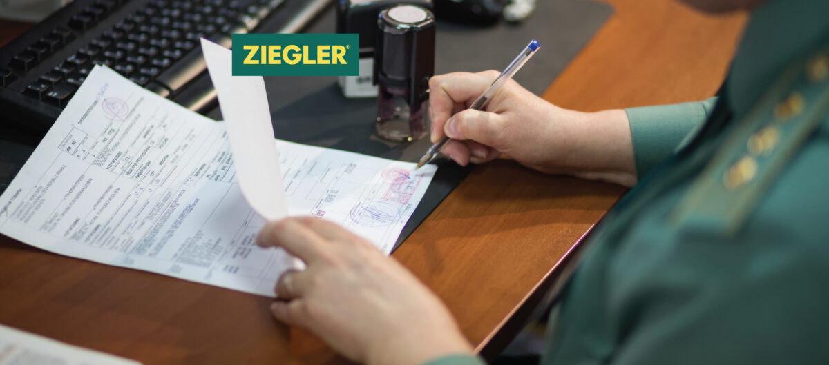 Important Steps for Smooth Transition to Customs Declaration Service (CDS)