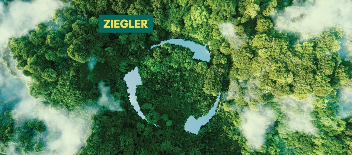Why Do We Need Sustainability?