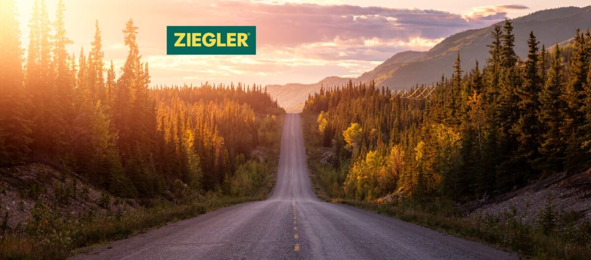 Summer Timetable Land Transport Europe 2024 IMPORT & EXPORT