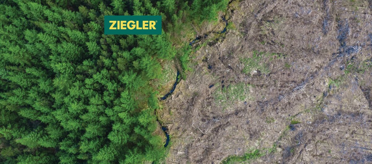 [Douane] Le RDUE (Règlement européen contre la déforestation et la dégradation des forêts) : un tournant écologique pour l’Europe